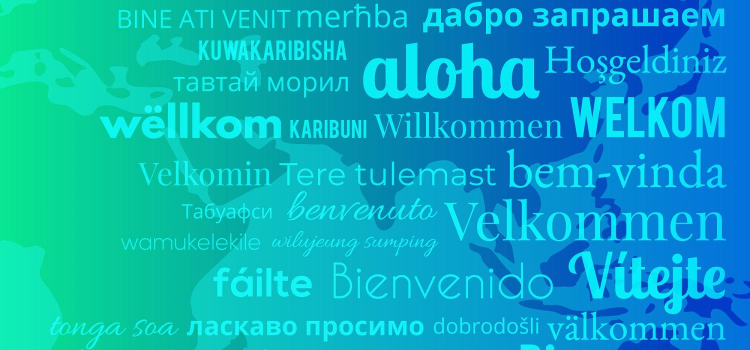 Drupal multilingual sites guide